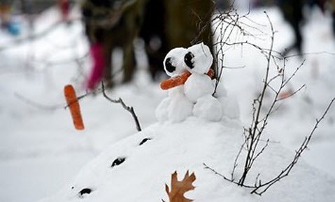 Погода в Украине 24 января: солнечно, местами ожидается снег