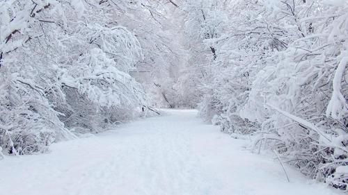 Погода в Украине 25 января: снег, много снега
