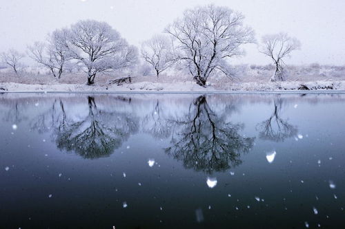Погода в Украине 27 января: пасмурно, местами мокрый снег