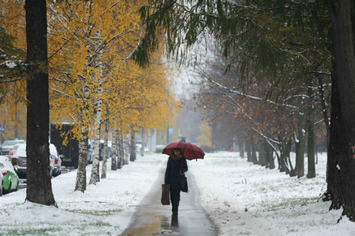 Погода в Украине 6 февраля: снег с дождем