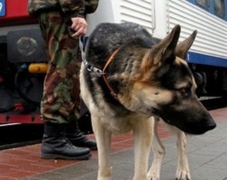 В Харькове служебная собака нашла наркотики на вокзале