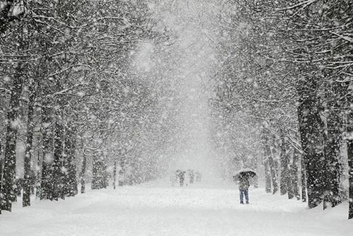 Погода в Украине 7 февраля: снег