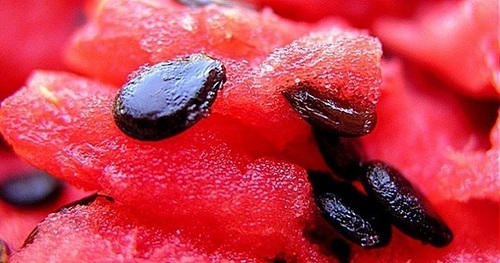 ТОП-6 самых полезных фруктовых семечек