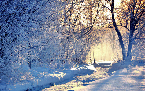 Погода в Украине 13 февраля: снег и солнце