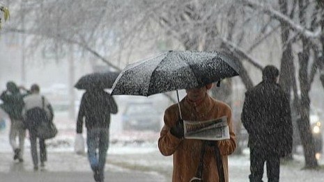 Погода в Украине 24 февраля: преимущественно без осадков, местами дождь