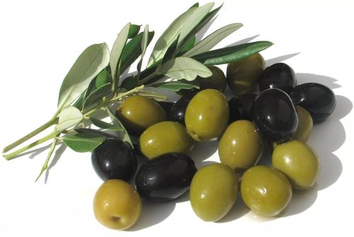 В Украине хотят выращивать оливки