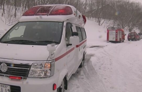 В Японии из-за схода лавины погибли 6 школьников
