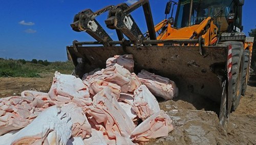 В РФ уничтожили 11 тыс. тонн деликатесов и санкционных продуктов