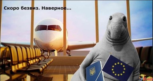 Представительство ЕС будет развенчивать украинцам мифы о безвизе 