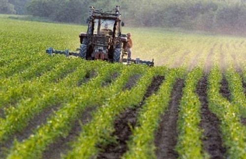Крупный украинский агрохолдинг прекращает свою деятельность
