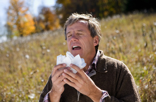 Медики рассказали, как отличить простуду от аллергии