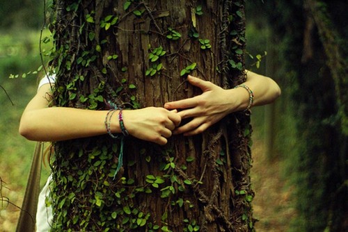 Как правильно заряжаться положительной энергией деревьев с пользой для здоровья