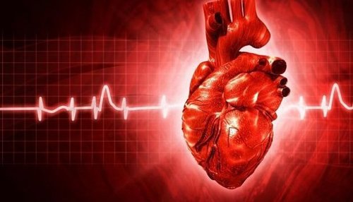 Украинские хирурги создали новый тип сердечного клапана