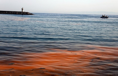 Мраморное море внезапно стало оранжевым