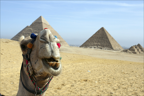 Египет отказался принимать российских туристов