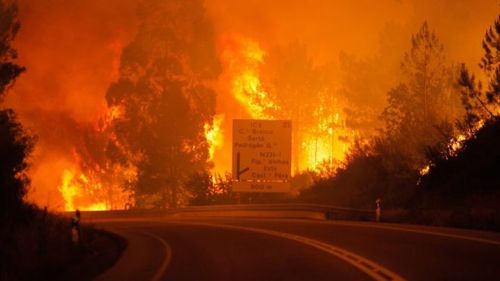 Лесной пожар в Португалии, погибли 19 человек