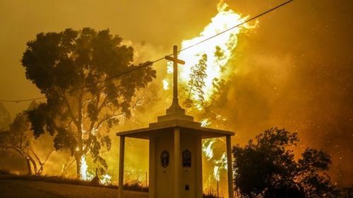 12 португальцев спаслись от гигантского пожара в баке с водой