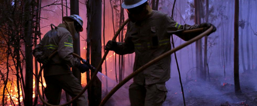Сотни туристов были эвакуированы из-за лесных пожаров в Хорватии
