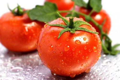 Уникальный способ посева томатов