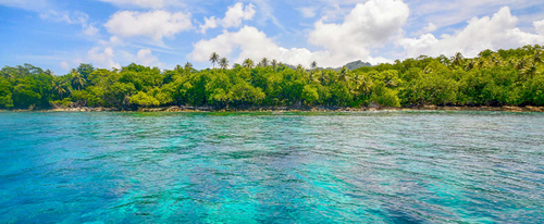 В Тихом океане исчезло 8 островов