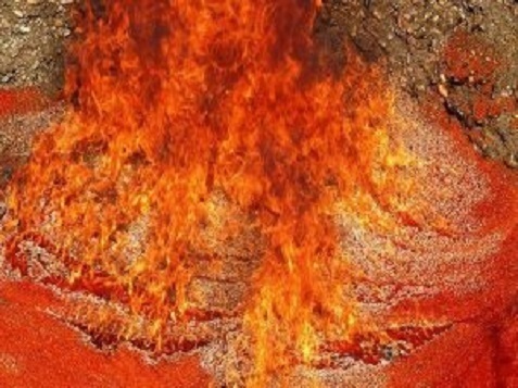 Как на Камчатке сжигают красную икру (ВИДЕО)