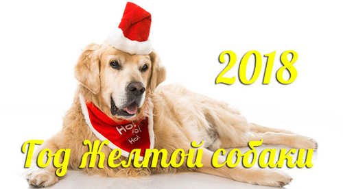 Гороскоп на 2018 год Желтой Земляной Собаки для всех знаков зодиака