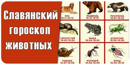 Славянский гороскоп - какое вы животное