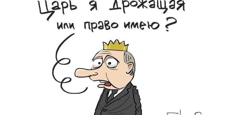 ↱www.politexpert.org
