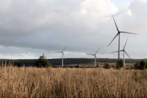 В Украине построят самую мощную в Европе ветровую электростанцию
