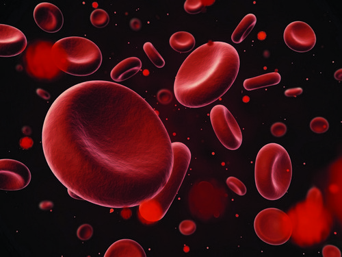 Как определить состояние здоровья по крови