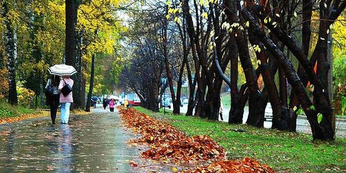 Прогноз погоды в Украине на 20 ноября