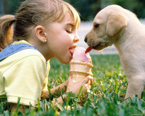 Почему детям важно общение с собакой (ВИДЕО)