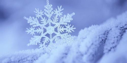 Ученые обнаружили новый вид снега