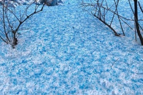 В Санкт-Петербурге выпал синий снег