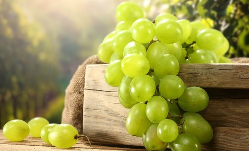 Весенняя подкормка для винограда