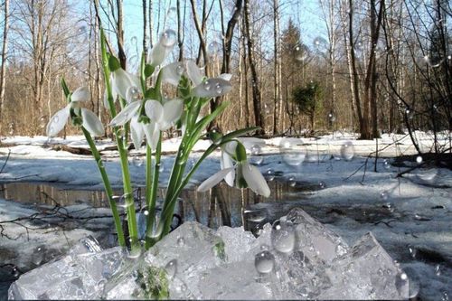 23 марта — День Василисы – вешней воды указательницы: Приметы и суеверия