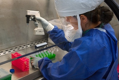 Новая вакцина вылечила от рака 97% мышей