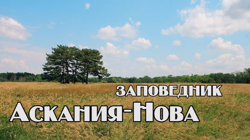 Достопримечательности Украины: Заповедник Аскания-Нова