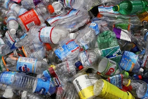 В Японии обнаружили бактерию, которая разлагает пластик за несколько дней