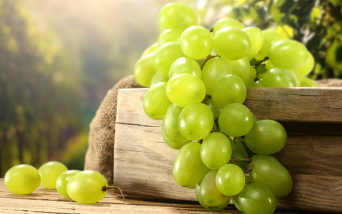 Защита винограда от вредителей и болезней