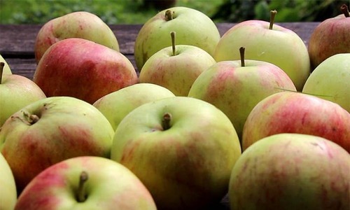 Рецепты из сушеных яблок