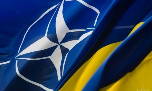 Парламентарии НАТО призвали поддержать Украину и Грузию