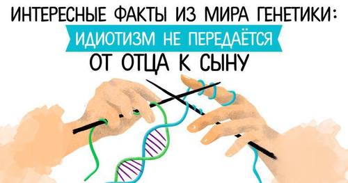 Интересные факты из мира генетики