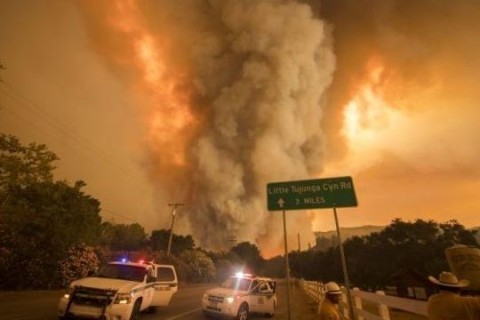 Калифорния страдает от масштабных пожаров