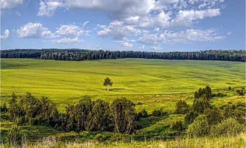 29 июня – День Тихона: Приметы и суеверия