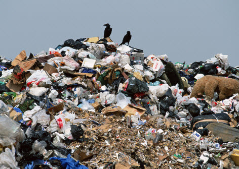 Переработка мусора и экология: советские мифы, которые живы и сегодня