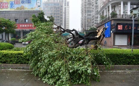 Тайфун «Мария» обрушился на восток Китая