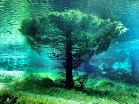 Необычная планета: Зеленое озеро