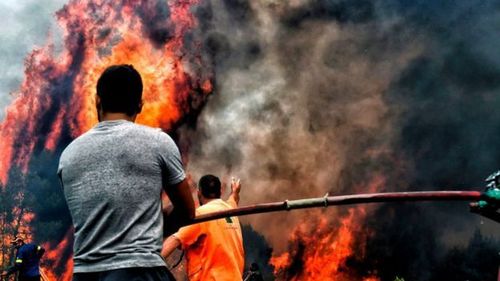 "Страна переживает непередаваемую трагедию": в Греции объявлено три дня траура по жертвам лесных пожаров