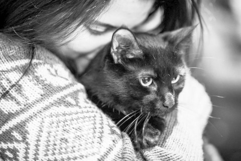 Почему кошки больше любят женщин